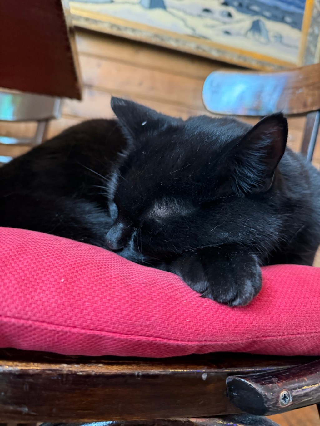 Vikings, Views & Very Good&nbsp;Coffee