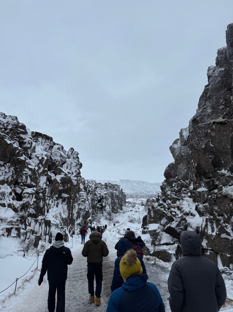 The entrance rift in 
Thingvellir Park