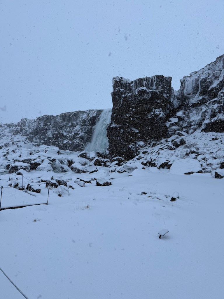 The current image has no alternative text. The file name is: img_6827.jpg