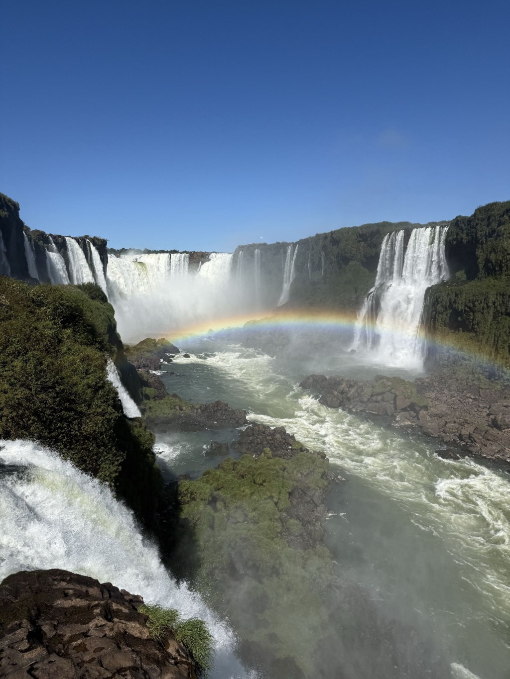 Reflections of Brazil